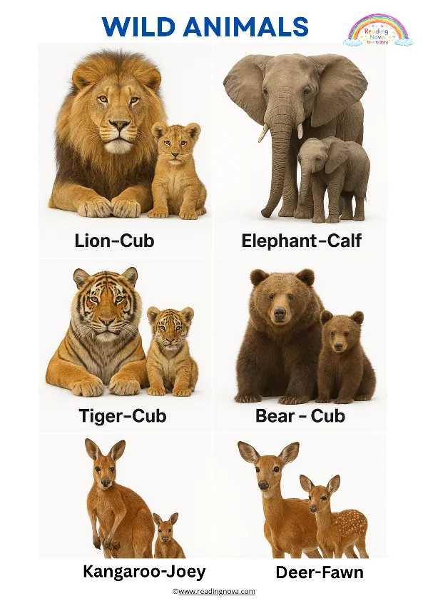 Free poster: Wild Animals