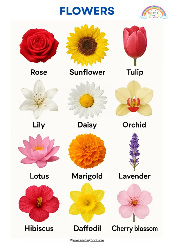 Free poster: Flowers