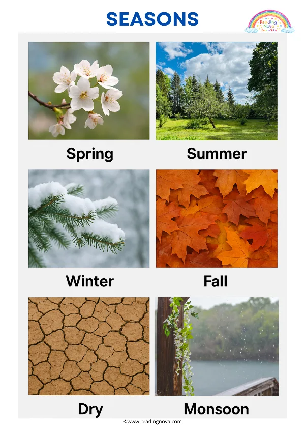 Free poster: Seasons