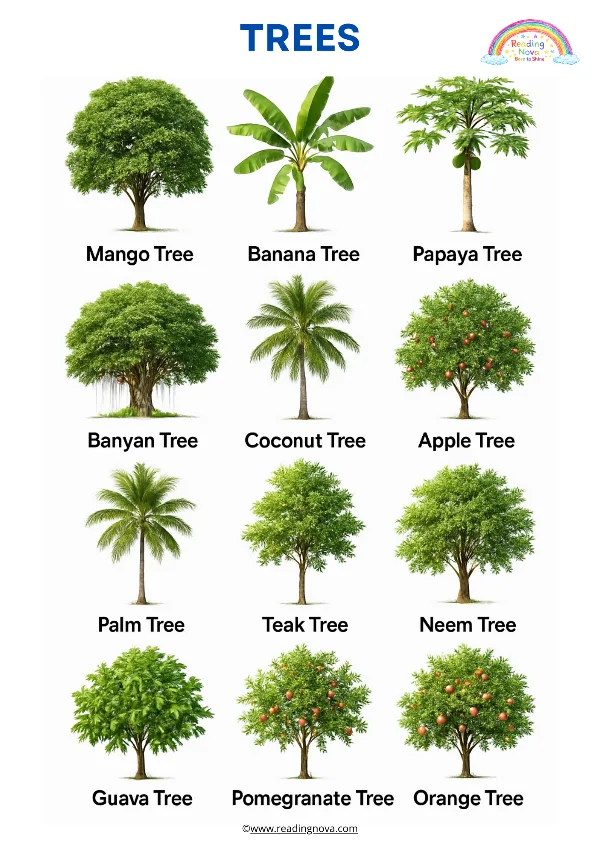 Free poster: Trees