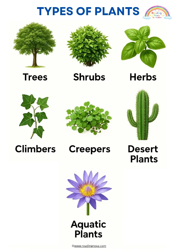Free poster: Types Of Plants